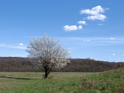 dscn6020-2.jpg