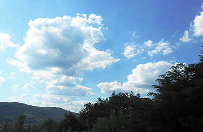 dscn6105-a.jpg