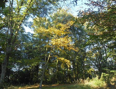dscn6158-1.jpg