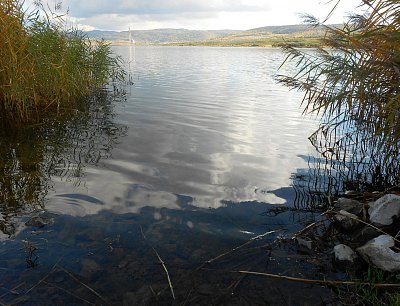 dscn6371.jpg