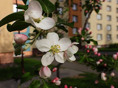 dscn6424-2.jpg