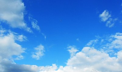 dscn6445-a.jpg