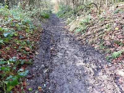 dscn6566-bahno.jpg
