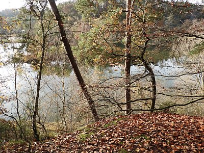 dscn6785-rybnik.jpg