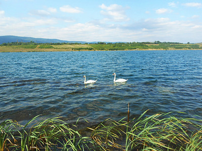 dscn6809-2.jpg