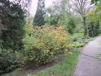 dscn6974.jpg