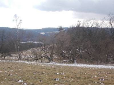 dscn7136.jpg