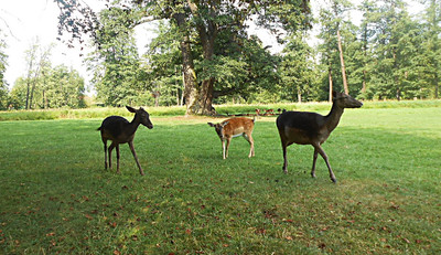 dscn7261-a.jpg