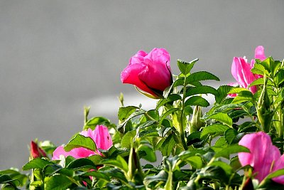 dscn7669.jpg
