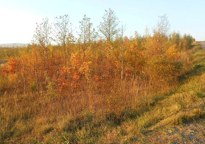 dscn8207-a.jpg