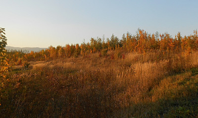dscn8211-a.jpg