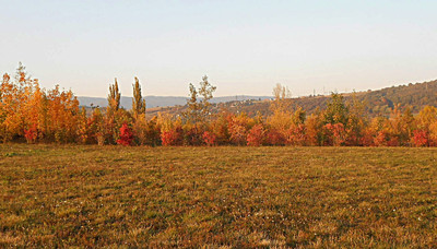 dscn8216-a.jpg