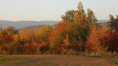 dscn8225-a.jpg