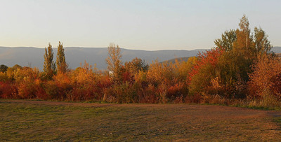 dscn8226-a.jpg