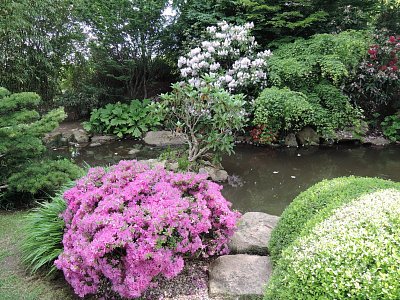 dscn8322.jpg