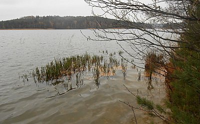dscn8361-a.jpg