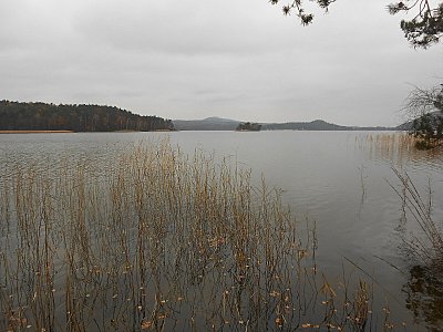 dscn8380.jpg