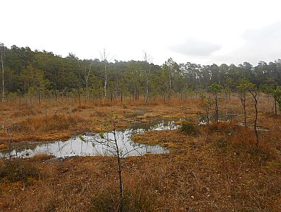 dscn8394-1.jpg