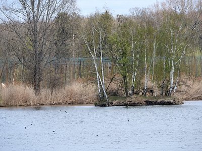 dscn8754.jpg
