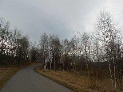 dscn8905-1.jpg