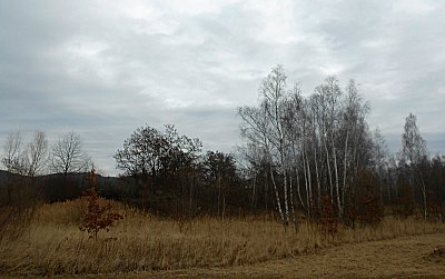 dscn8907-a.jpg