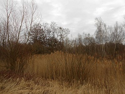 dscn8911-1.jpg