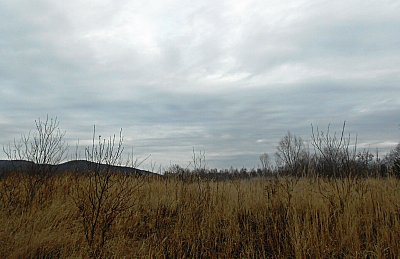 dscn8922-a.jpg