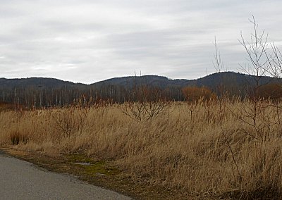 dscn8926-a.jpg