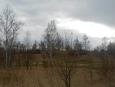 dscn8939.jpg