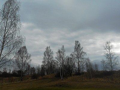 dscn8945.jpg