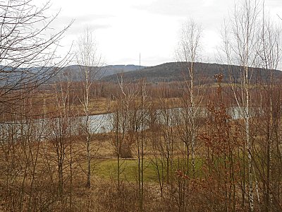 dscn8951.jpg