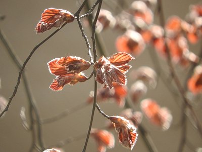 dscn9059.jpg