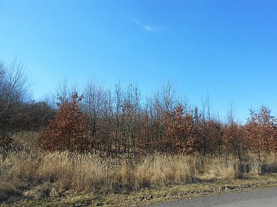 dscn9128.jpg