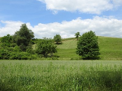 dscn9300-louka.jpg