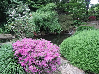 dscn9391.jpg