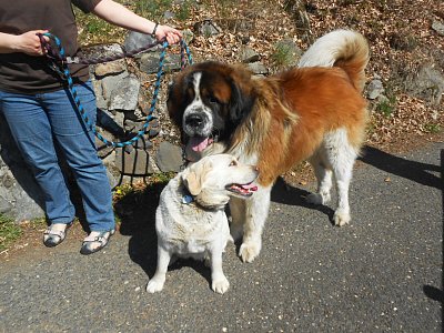 dscn9757.jpg