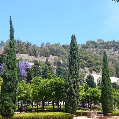 dscn9768.jpg