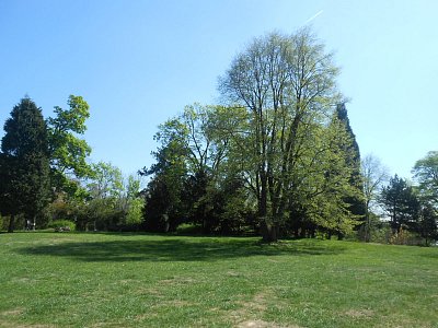 dscn9819.jpg