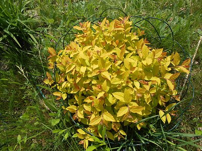 dscn9941.jpg