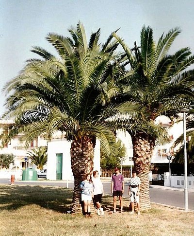 fosca-2.jpg