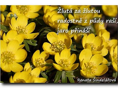 haiku 9