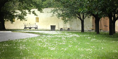 Lavička