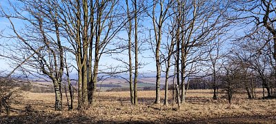 image-11.jpg
