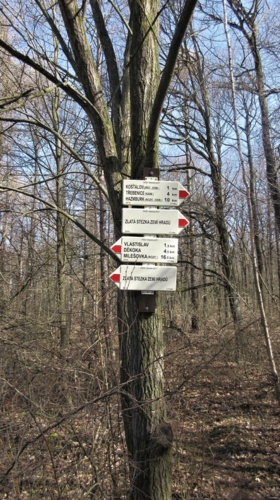img-0003-7.jpg