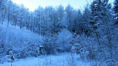 img-0025.jpg