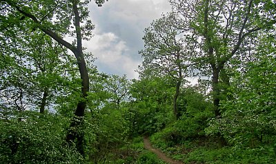 img-0082-2.jpg