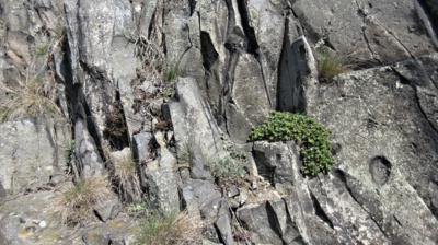 img-0100.jpg