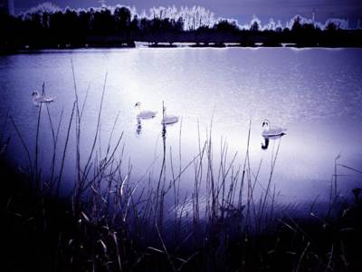 img-0114.jpg