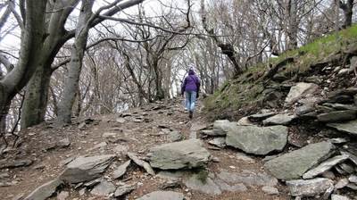 img-0257.jpg