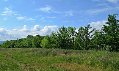 img-0319-2.jpg